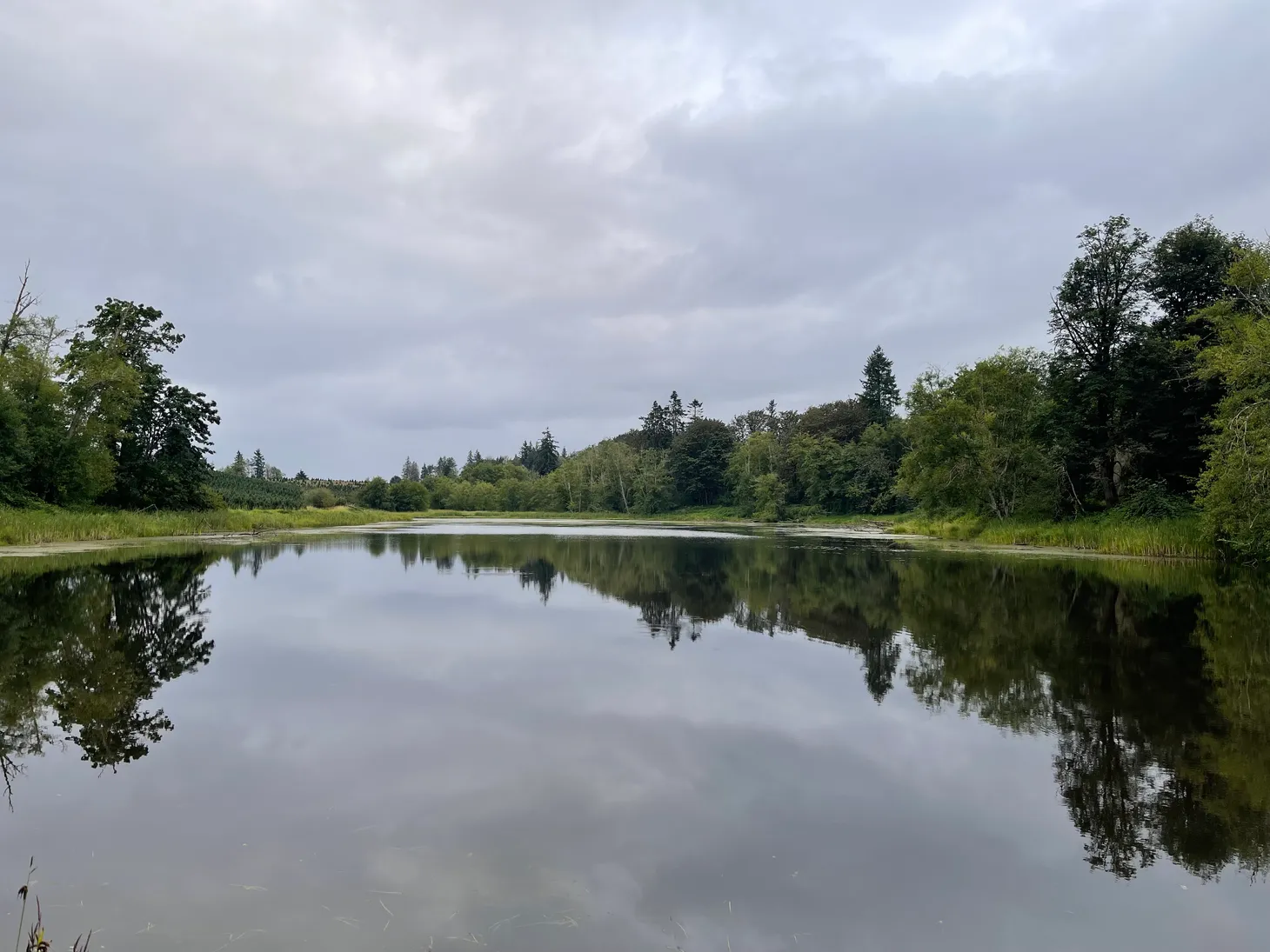 Day 90: Silver Creek, WA - ready to go