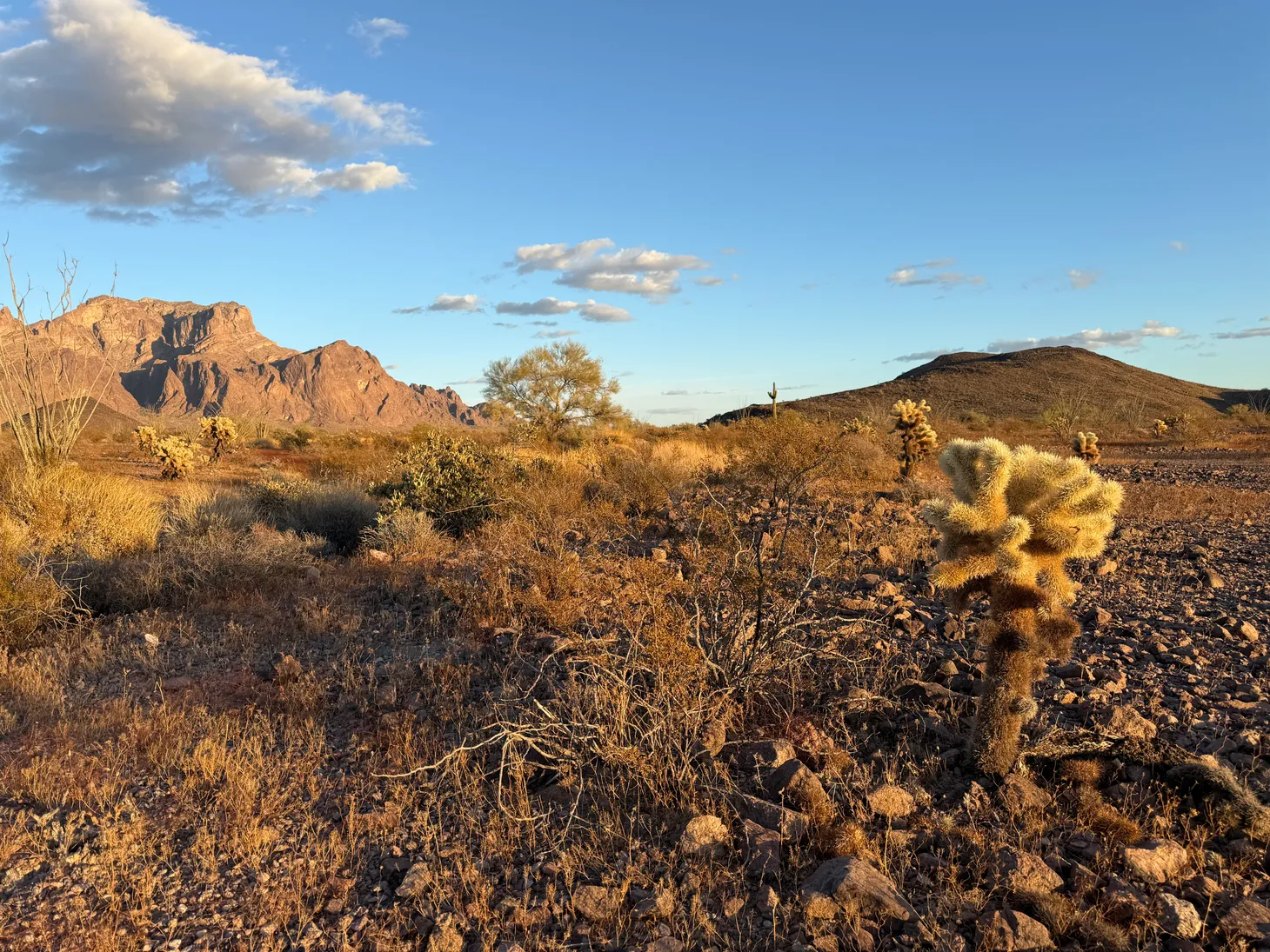 Border Crossings, Campfires, and the Nomadic Life